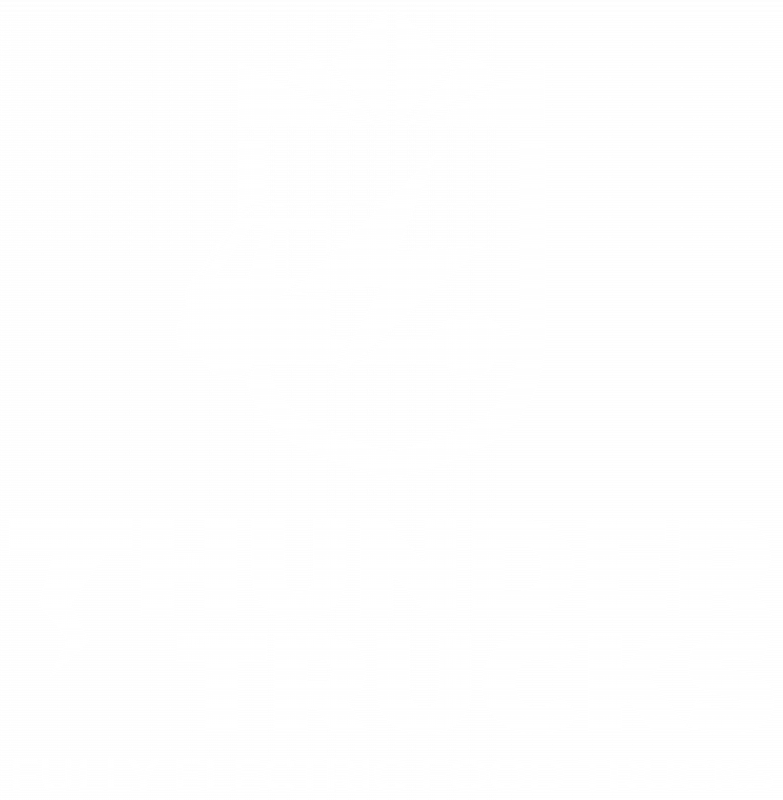 Thunder Truck logo